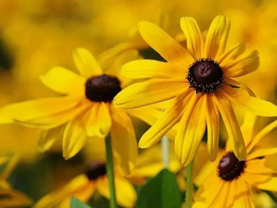 1589782485225368.jpg 微信圖片_20200518135306.jpg