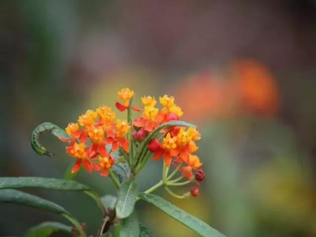 1590045803127728.jpg 微信圖片_20200521152249.jpg