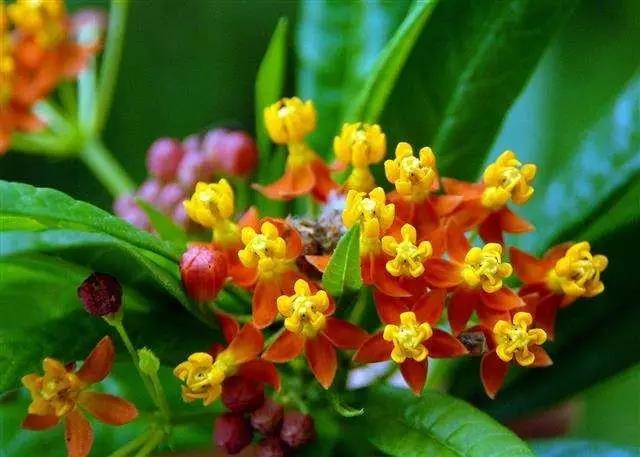 1590045819922867.jpg 微信圖片_20200521152254.jpg