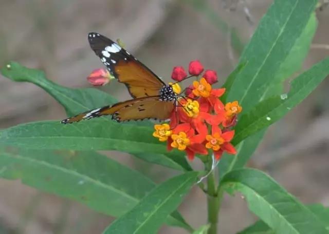 1590045827368642.jpg 微信圖片_20200521152256.jpg