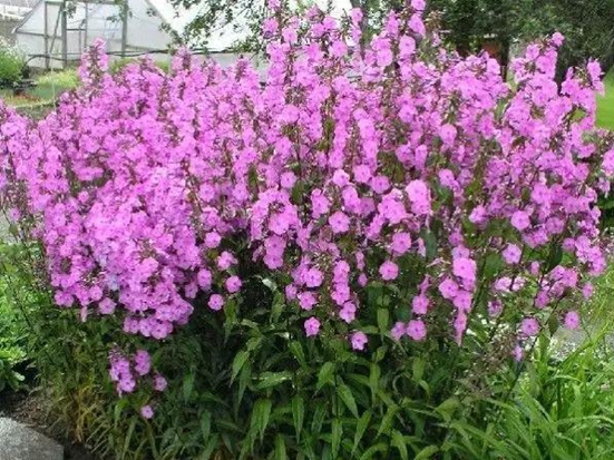 1590387581448528.jpg 微信圖片_20200521181506.jpg