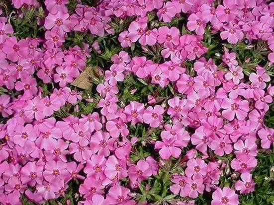 1590387590635425.jpg 微信圖片_20200521181531.jpg