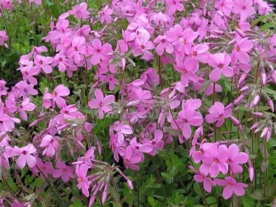 1590387598845587.jpg 微信圖片_20200521181526.jpg