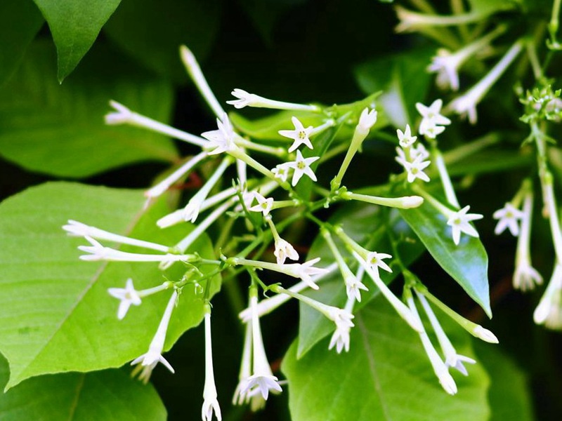 1596978179499049.jpg 4.jpg