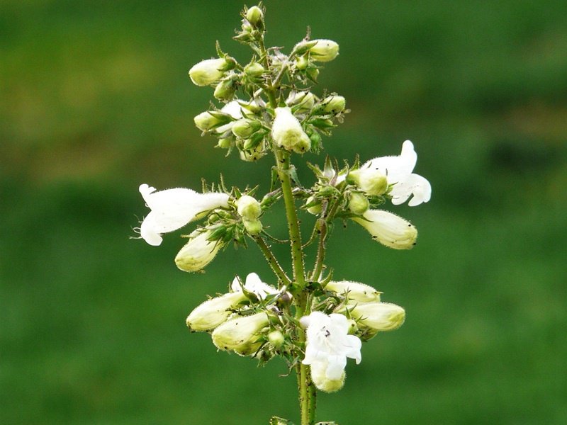 1599833130122448.jpg 7.jpg