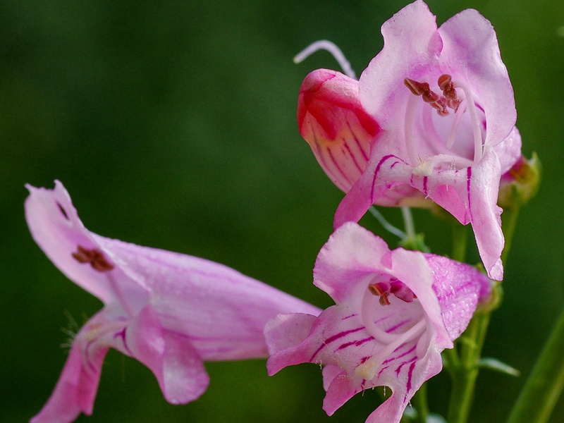 1599833133663630.jpg 3.jpg