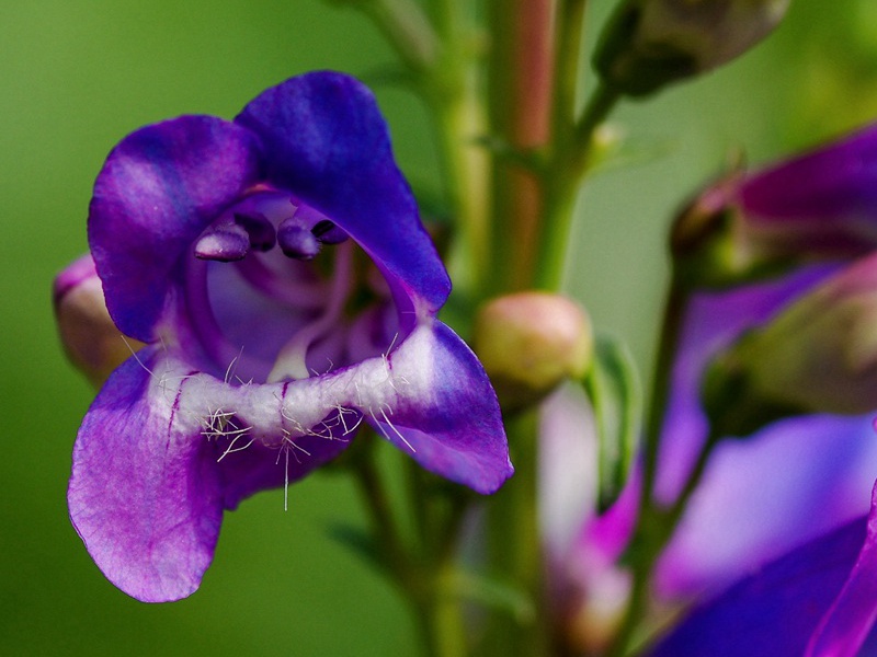 1599833136911298.jpg 2.jpg