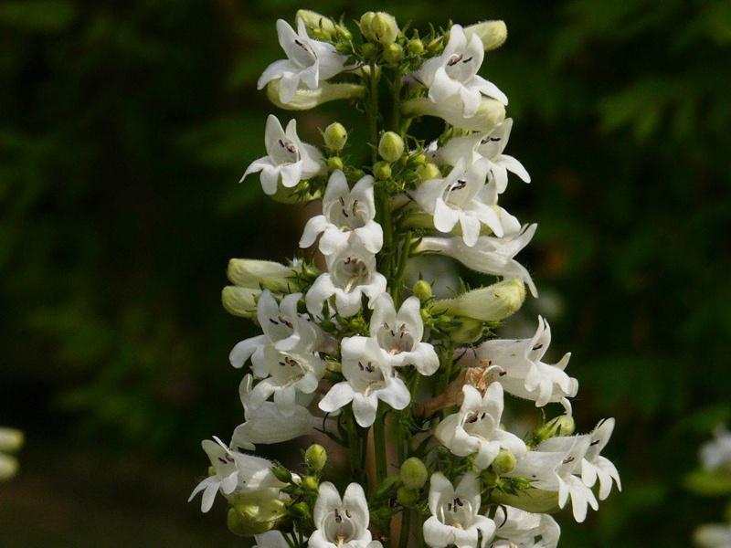 1601645650448958.jpg 8.jpg