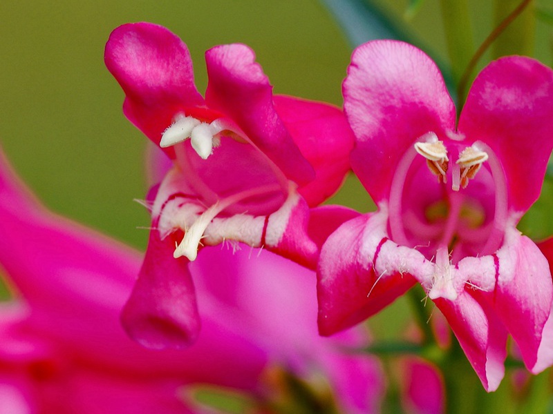 1601646583153250.jpg 1.jpg