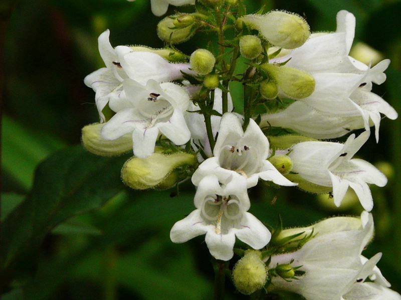 1601646590432626.jpg 6.jpg