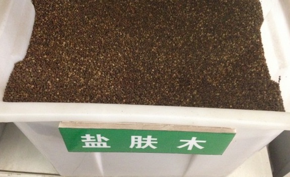 1629448568826442.jpg image.jpg