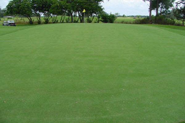 1632450010258089.jpeg 草坪5.jpeg