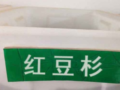 紅豆杉種子幾月份播種最好？