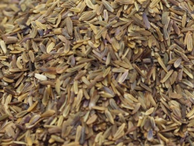 荷蘭菊種子需要泡水嗎？