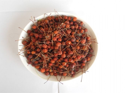 垂絲海棠種子怎么播種？