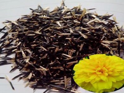 萬(wàn)壽菊種子6月份能種嗎？