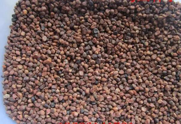 1649086942161560.jpg 6.jpg