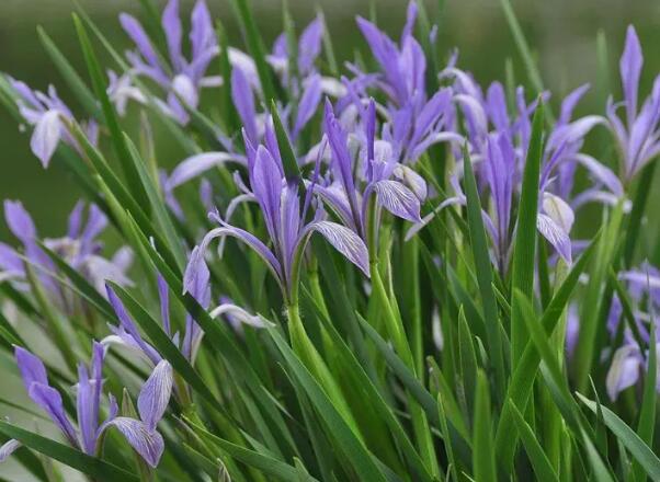 1649086962422211.jpg 6+.jpg