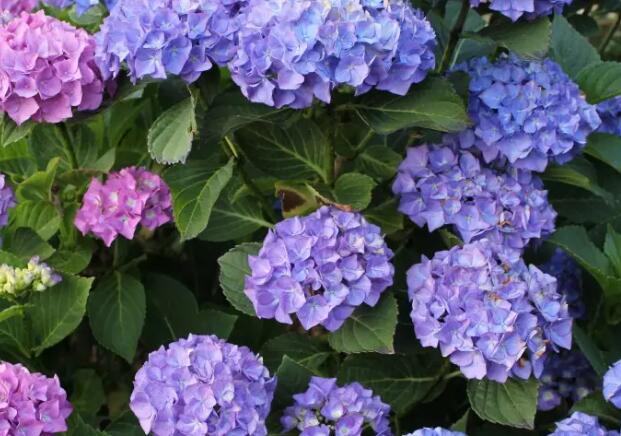 1655977880866967.jpg 6+.jpg