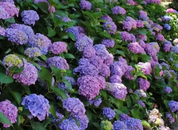 1655977892361020.jpg 6++.jpg