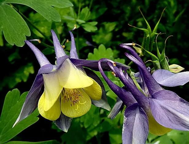 1662129250324360.jpg 6++.jpg