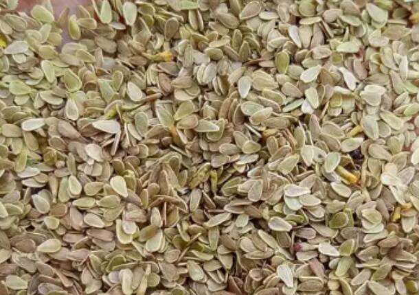 1662135426334034.jpg 5.jpg