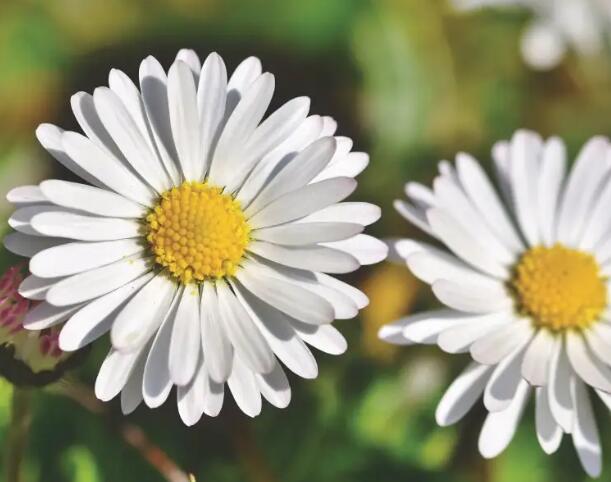 1662135439234325.jpg 5+.jpg