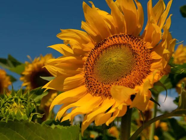 1662991925110963.jpg 8++.jpg