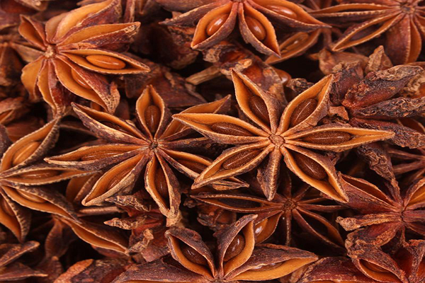 八角茴香1.jpeg