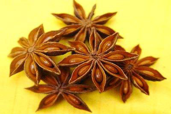 八角茴香2.jpeg