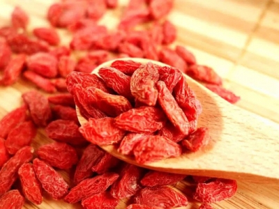 枸杞種子幾天發(fā)芽？