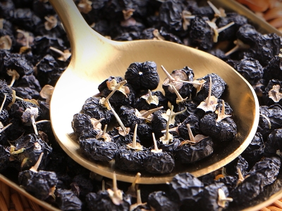 黑枸杞種子多長時間發(fā)芽