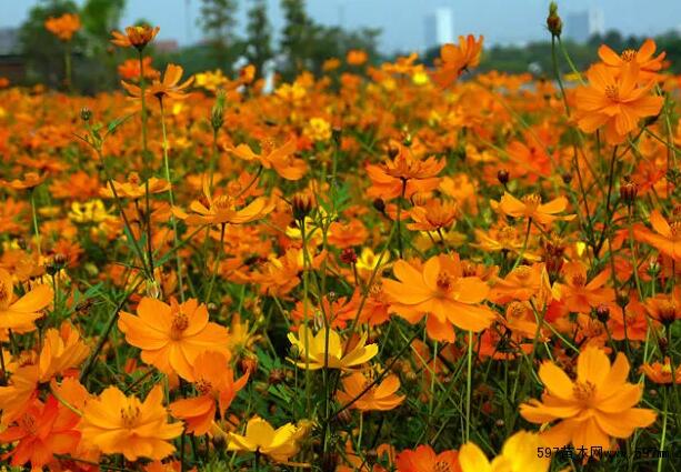 1671029331251964.jpg 0+.jpg