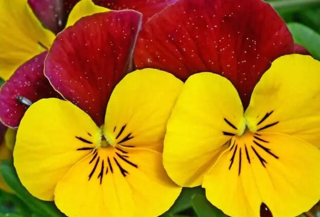 1671030068188905.jpg 8.jpg