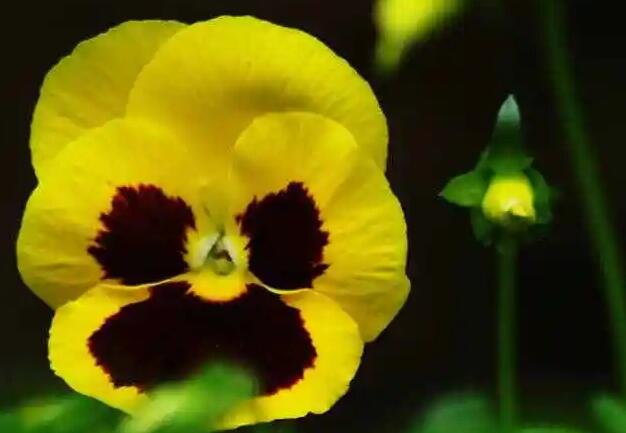 1671030080610998.jpg 8+.jpg