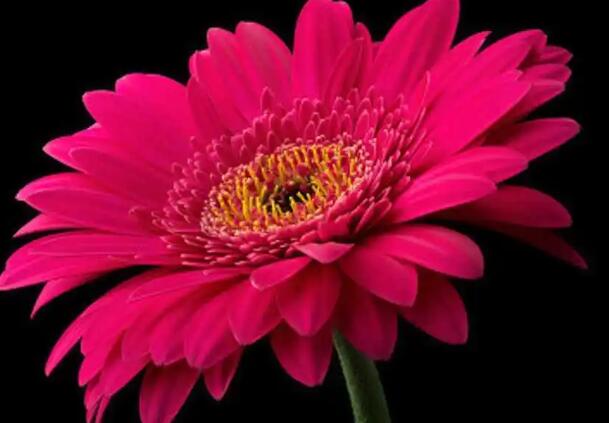 1671116945403524.jpg 0.jpg