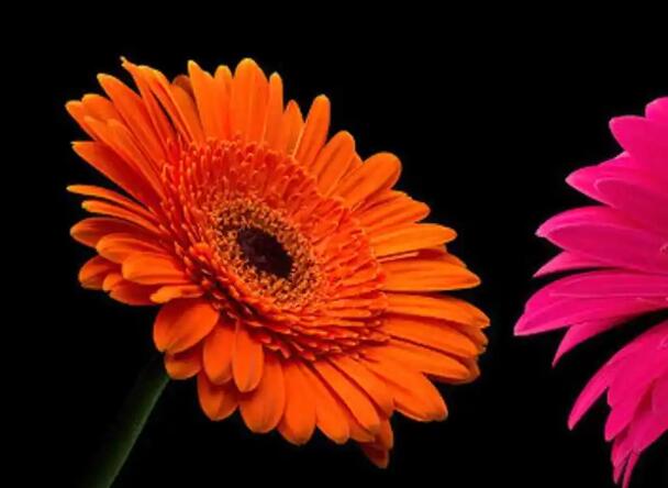 1671116958852535.jpg 0+.jpg