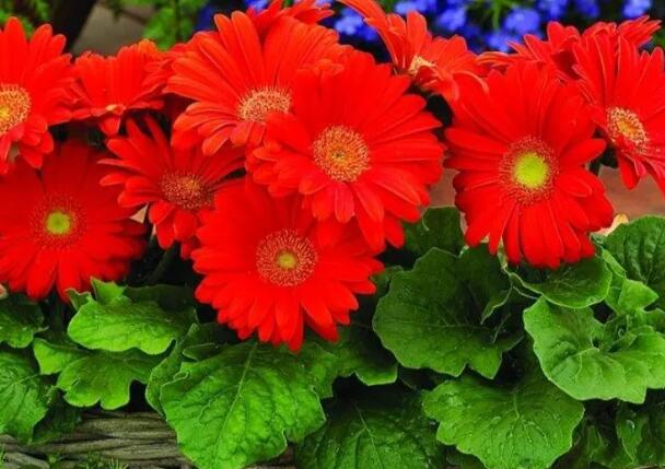 1671116971756396.jpg 0++.jpg