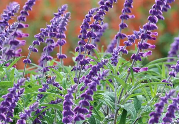 1671119489328742.jpg 5+.jpg