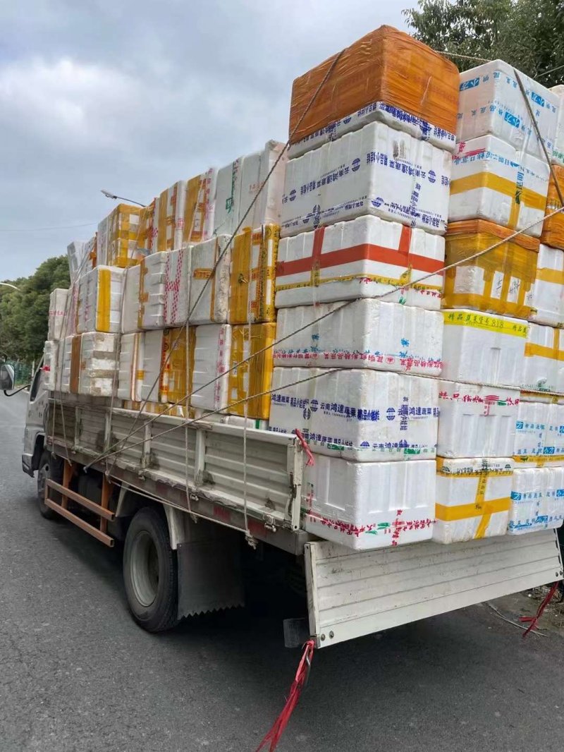 黑藻裝箱現(xiàn)場(chǎng)發(fā)貨