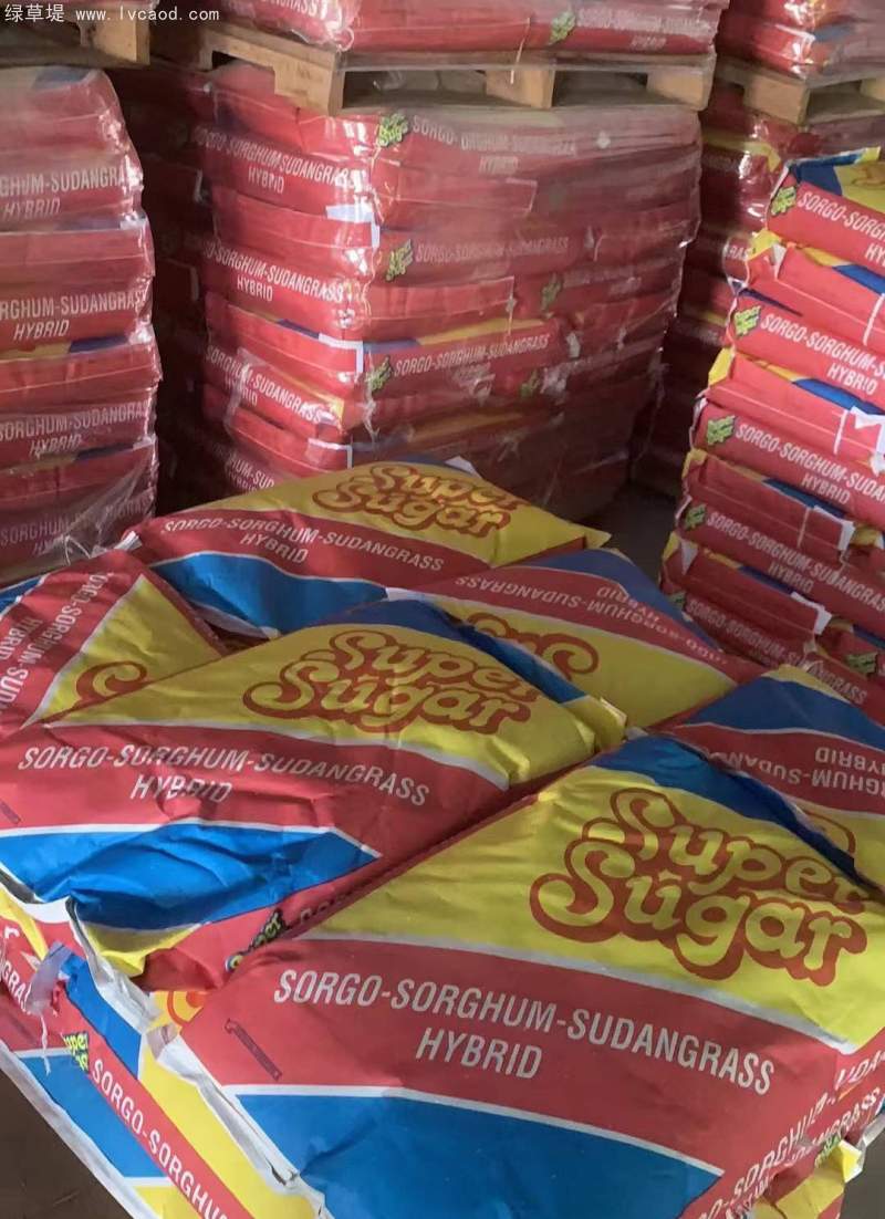 高丹草種子包裝